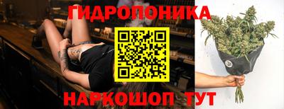 герыч Кингисепп