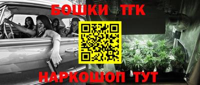 герыч Кингисепп