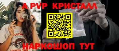 герыч Кингисепп