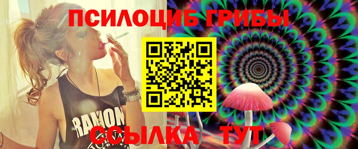 Псилоцибиновые грибы GOLDEN TEACHER  Псилоцибиновые грибы Psilocybe  Вход с VPN  Кудымкар 